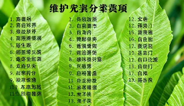 行业分类黄页在使用中常遇问题及解决办法